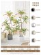 Colorful Artificial Nandina Bamboo Potted Plant for Indoor Use, High-End Imitation Plant for Tv Cabinet, Living Room Decorative Piece