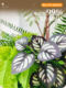 Simulated green plants indoor landscape landscaping stair corner decoration balcony porch window display bionic artificial trees landscape plants