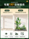 Artificial Green Plants under the Stairs, High-End Bionic Plant Landscaping Combination, High-End Light Luxury Decorative Items, Floor-Standing Potted Trees
