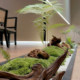 Artificial Green Plants for Desktop, Everlasting Moss Micro-Landscape, Green Plant Ornaments for Entryway, Coffee Table, Narrow Spaces, Simulated Flower Decorations