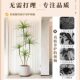 Artificial Green Plant, Philodendron, Fake Plant, High-End Light Luxury Indoor Decorative Tree, Large Potted Plant for Living Room, Floor-Standing Ornament