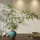Bamboo Artificial Green Plant Potted Decoration, Song Dynasty Aesthetics, Soft Furnishings, Zen-Inspired Ornament, Chinese-Style Decoration for Living Room, Dining Room, Tea Room, and Study