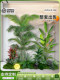 Artificial Plant Landscaping Set for Living Room Decoration, Green Plant Combination Bonsai Set, Window Display Style Home Decor, Ambiance Tree