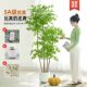 Artificial Green Plant of Nandina, Luxury Faux Flower Tree, Bionic Plant for Indoor Large-Scale Decoration, Living Room Potted Plant, Floor-Standing Ornament