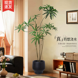 Simulated Green Plant Peacock Tree, Antique-Style Ornament for Living Room, Artificial Plant Indoor Large Floor-Standing Decorative Fake Tree Potted Plant