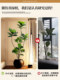 Artificial Green Plant Ficus Lyrata, Antique-Style Ornament, Indoor High-End Light Luxury Living Room Decoration, Large Fake Green Plant Decorative Tree