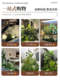 Indoor Landscape Decoration with Realistic Green Plants, High-End and Lifelike, Large Floor-Standing Plant Arrangements for Restaurants and Shopping Malls