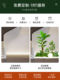 Artificial Green Plant Landscaping Combination for Staircase Arrangement, Entrance Hall Indoor Landscape Plants, Fake Trees, Courtyard Window Display Decorations