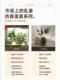 Simulated Green Plants, Large-Scale Indoor Landscaping, Outdoor Landscape Combinations, High-End Light Luxury Window Decoration, Floor-Standing Green Plant Landscaping