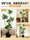 Artificial Green Plant Ficus Lyrata, Antique-Style Ornament, Indoor High-End Light Luxury Living Room Decoration, Large Fake Green Plant Decorative Tree