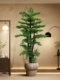 Medieval-Style Welcoming Pine Artificial Green Plant for Living Room, Light Luxury Bionic Plant with a High-End Feel, Landscape Artificial Tree Decorative Ornament