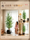 Artificial Green Plants, Simulated Olive Tree Bonsai, Large Plant Pots, Indoor Fake Trees for Decoration, Floor-Standing Landscaping, Light Luxury