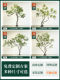 High-End Artificial Horsewood Plants for Window Displays, Realistic Indoor Faux Greenery, Decorative Trees, and Simulated Plant Landscapes