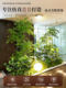 Simulated green plants indoor landscape landscaping stair corner decoration balcony porch window display bionic artificial trees landscape plants