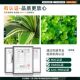 Simulated Green Plant Landscaping Combination, Tropical Plant Partition, Flower Trough, Flower Box, Artificial Flowers, Indoor Landscape Decoration