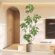 Simulated Green Plants, High-End Light Luxury, Bionic Duck Foot Wood, Indoor Living Room Sofa Side, Large Potted Plants, Floor-Standing Fake Plants