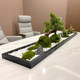 Fake green plants conference table micro landscape welcoming pine ornaments decoration long table fake plants green plants porch landscaping flowers