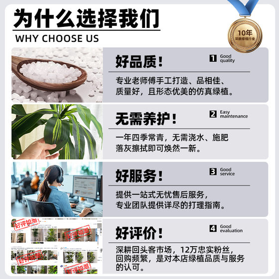 Simulated Green Plants, High-End Light Luxury Brazilian Wood Indoor Living Room Decoration, Floor-Standing Ornaments, Simulated Fake Plants, Potted Landscaping