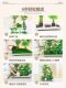 Simulated green plants and landscaping combination, courtyard window display, fake green plants, indoor under-stairs landscape, balcony landscaping