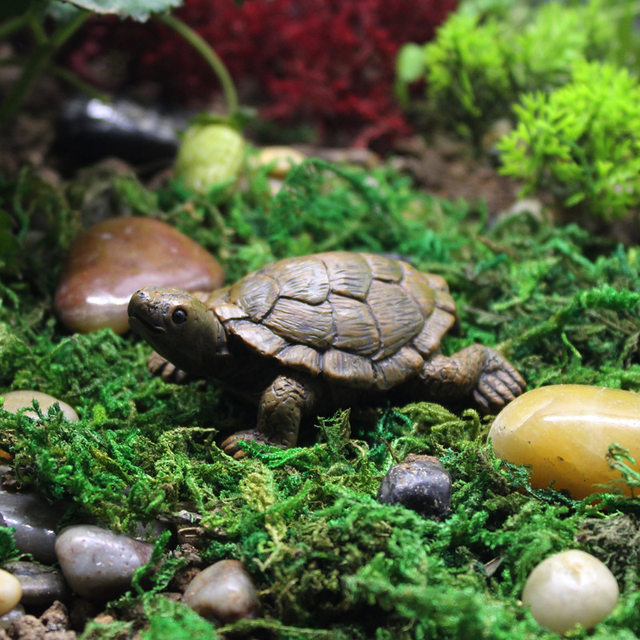 Simulated turtle micro-landscape ornaments original fish tank landscaping ສວນເຕົ່າ scene props succulent flower pot decoration