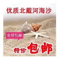 Natural conch shell sea sand natural sea sand 100g