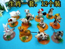 Natural conch shell twelve Zodiac conch animal genus 12 sets