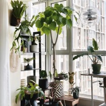 Vietnamese bamboo woven flower pots flower baskets plant decorations straw woven rattan coats woven baskets to cover up ugly bamboo baskets