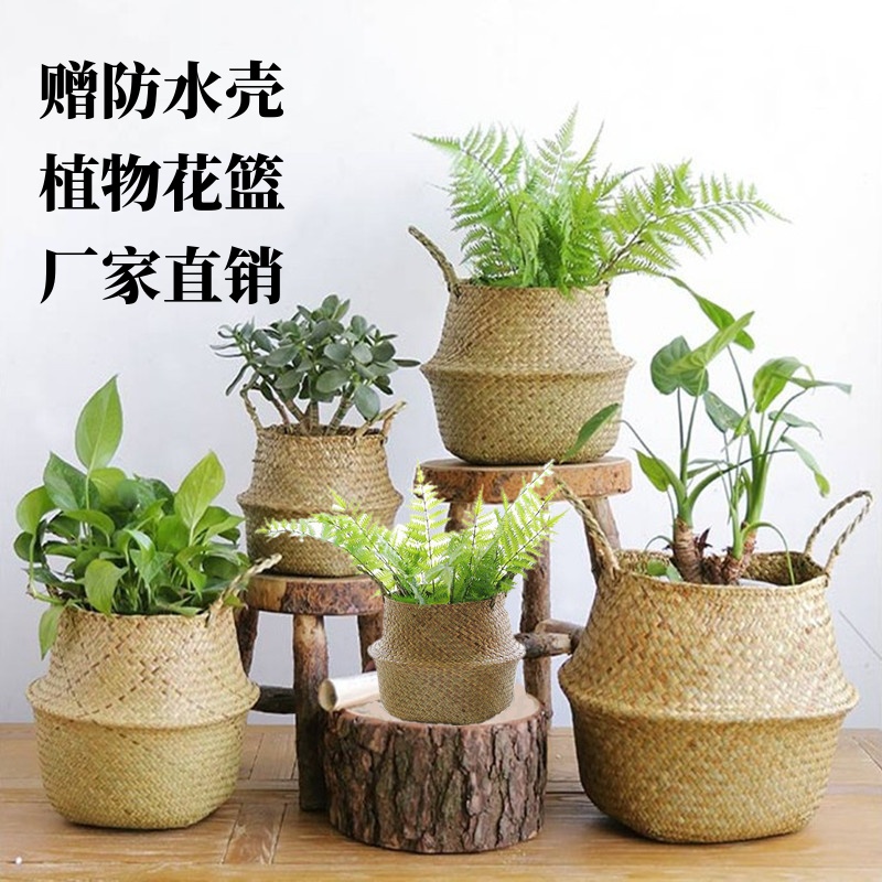 Nordic Grass Choreography Basket Woven Basket Handmade Sea Grass Botanical plant Woven Flower Pots Willow choreographye Decorative Vines Weave Bamboo Basket