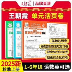2025版王朝霞试卷单元活页卷期末活页卷