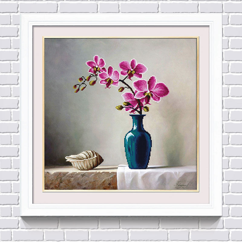 �Ӱ�һ����ʯ��ʮ����