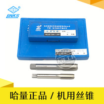 The Hama Machine with a straight groove wire cone