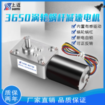 5840-3650 Turbo Worm DC gear motor brushless 24v12v self-locking high torque gear