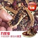 Authentic Kowloon worm foreign insect live pet insect reptile drying Kowloon worm medicinal material feeding reptile live body