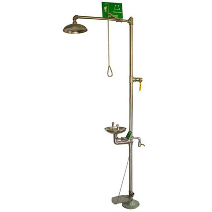 6610 inspection plant Double mouth washers 304 stainless steel emptying anti-freeze composite emergency eye washers with pedalling