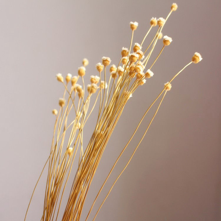 Happy Flower Brazilian natural art Mini bouquet of flowers and flowers emulated flower photo props