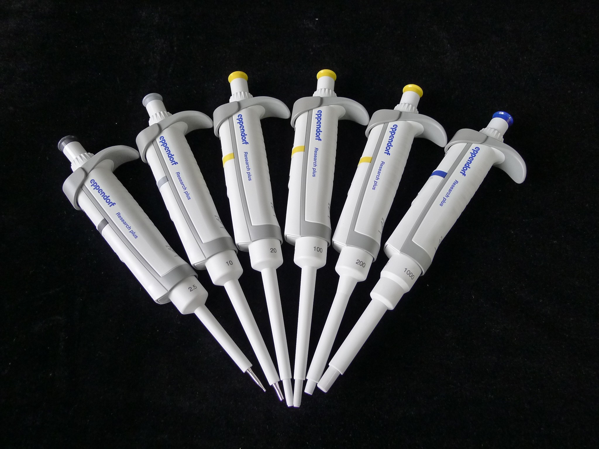艾本德eppendorf 手动单道可调式移液器 1/5/10ml 200/1000ul 枪