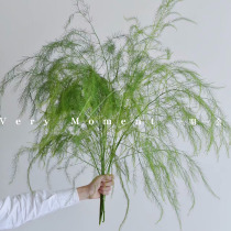 Sensation de fumée mariage arrangement floral avec petit bois de crowdsourcé Asparagus Feather Grass Fleurs séchées Heart-wrensen to shoot props