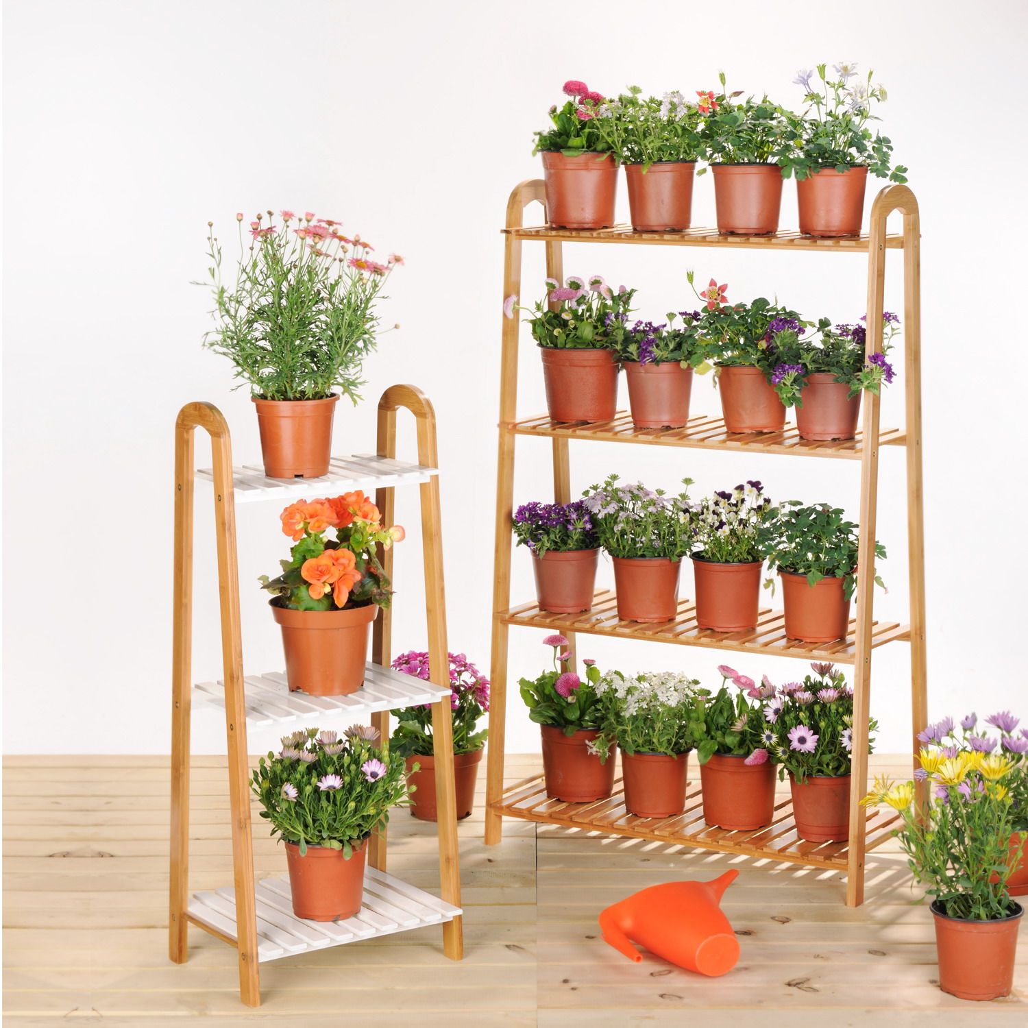 �������ľ����԰�ִ���Լ�����TZHJ0001