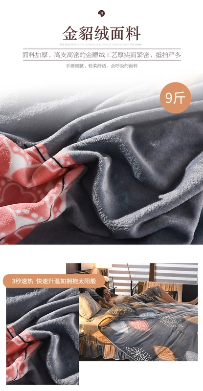 Dày gia đình nhung san hô của cặp vợ chồng nữ Bốn hai mặt chồn vàng váy ngủ cashmere luật Levin cashmere flannel chăn trên giường 1.8m - Bộ đồ giường bốn mảnh bộ drap giường 1m6