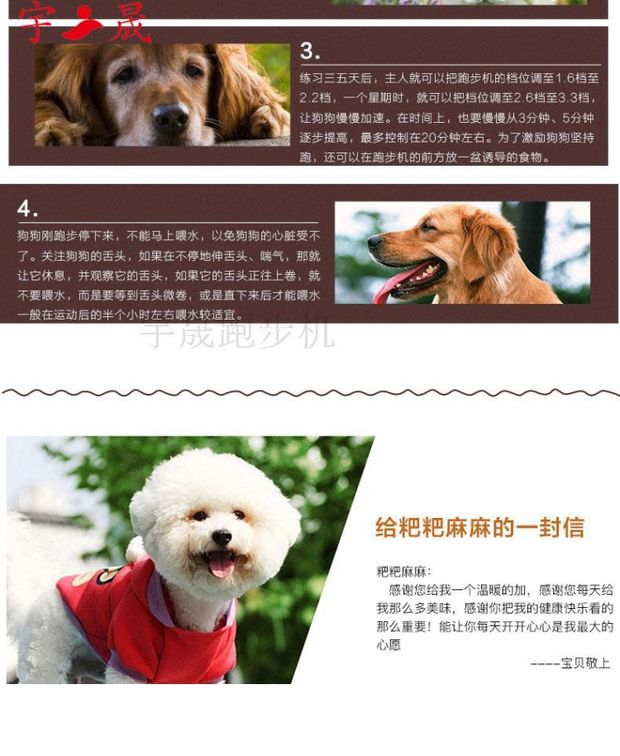 Yu Hao Trực tiếp Pet Máy chạy bộ Chó Máy chạy bộ Đào tạo Chó Pet Cung cấp Chó Máy chạy bộ C100-C600 - Máy chạy bộ / thiết bị tập luyện lớn máy đi bộ trên không xuki