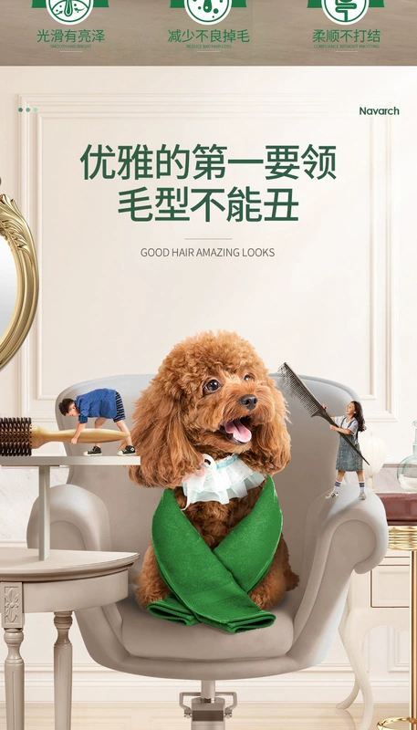 Chó con  Teddy VIP thức ăn đặc biệt 2,5kg5 kg lông đẹp xé nhỏ từ 3 tháng trở lên - Chó Staples
