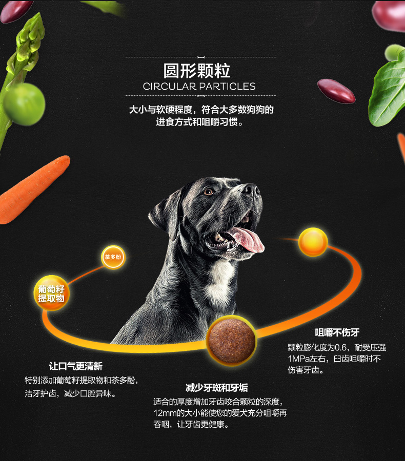 Thức ăn cho chó đa dụng Nike gram cấp VIP Golden Retriever Gấu chó nhỏ chó con trưởng thành Thức ăn cho chó Teddy 2 kg - Chó Staples thức ăn cho poodle