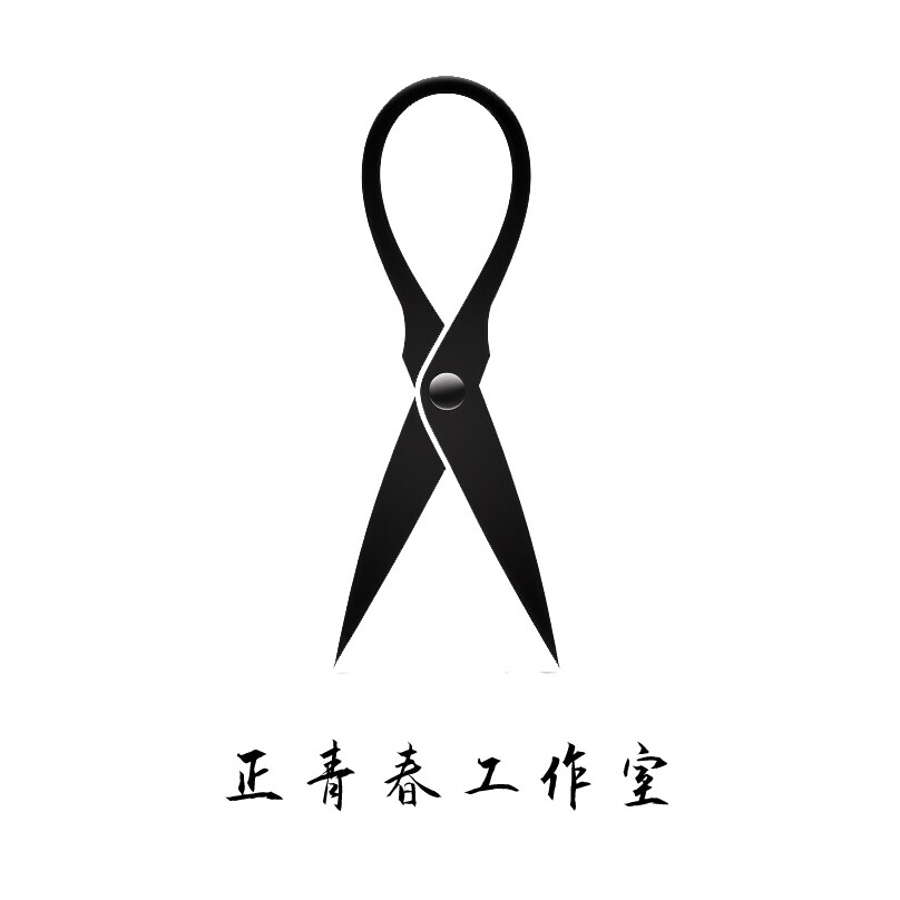 正青春工作室的LOGO