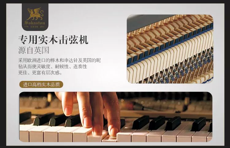 Sokarston, Vương quốc Anh SOKASTON Piano "SP-TZ" Royal Piano Piano Professional Piano - dương cầm