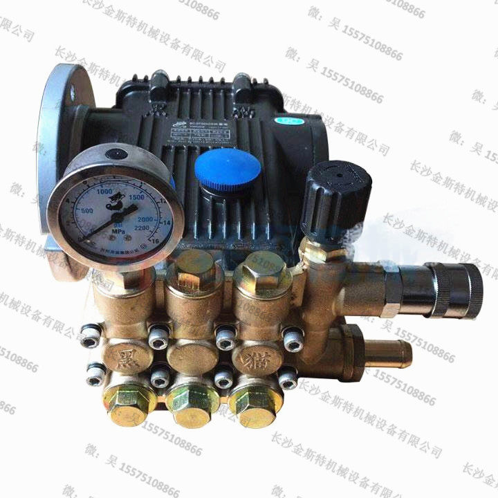 Sany Zhonglian accessories special black cat water pump high pressure pump head QL360C car washing machine BZ0720A cleaning water pump