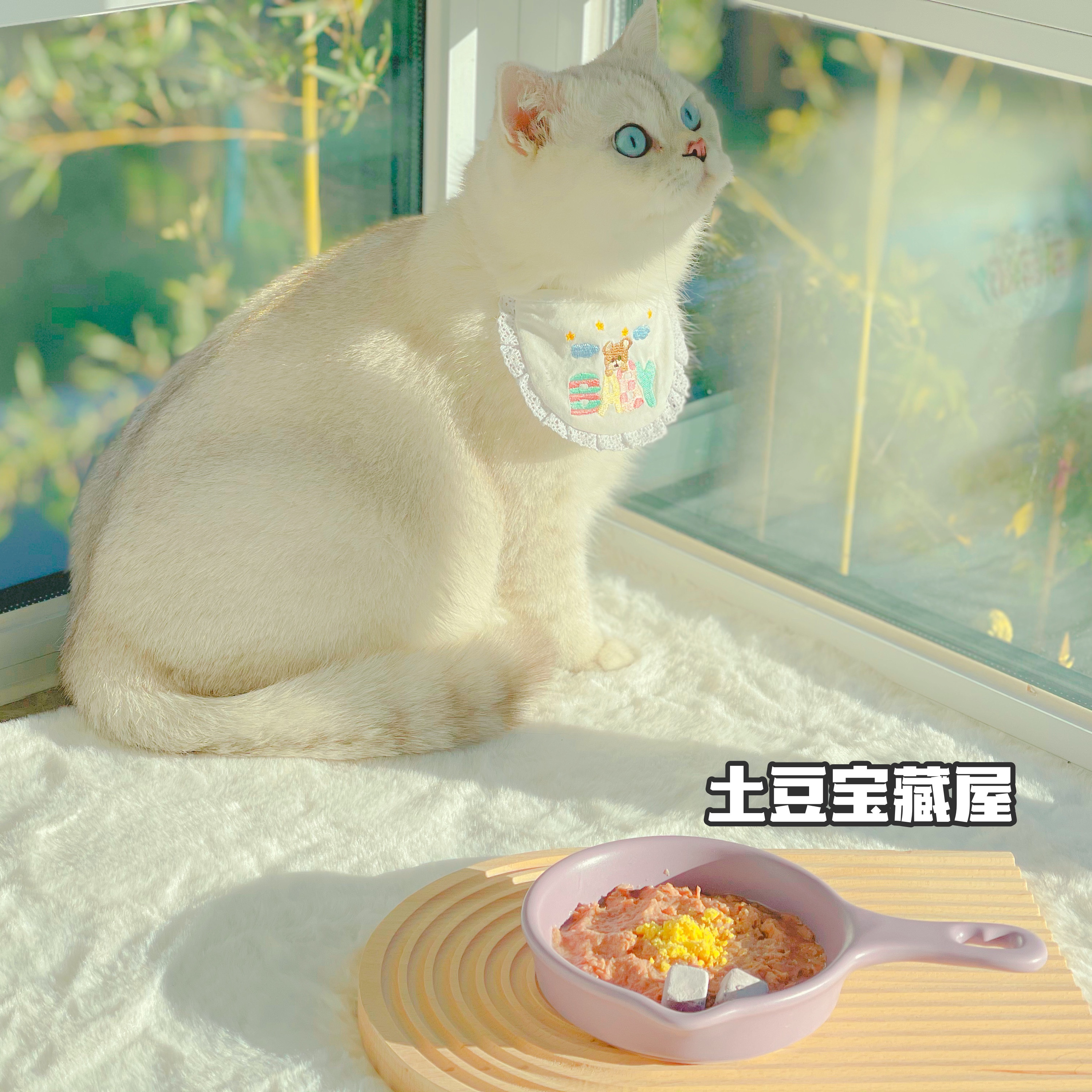 Korea Bridge Dog pet bowl ins ceramic bowl cute net red cat and dog bowl pan flying saucer plate photo