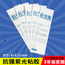 Flies paper sticky fly-extinguishing lamp sticky insect board food restaurant with flies to kill flies flying insects 42x13 5cm