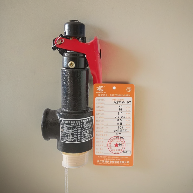 Зhejiang Fuso Gas Storage Safe Safety Valve A27W-16T Steam Boiler Rolling Valve Spring Thread Manual DN20
