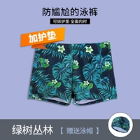 Зеленое дерево джунгли 【разобранные и защитные прокладки】