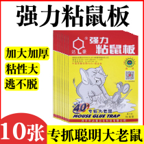 10 Zhang Dahao Mouse Sticking Strong Mouse Sticking Board Sticking Household Big Mouse Sticking Artifact